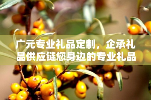 广元专业礼品定制，企承礼品供应链您身边的专业礼品定制公司